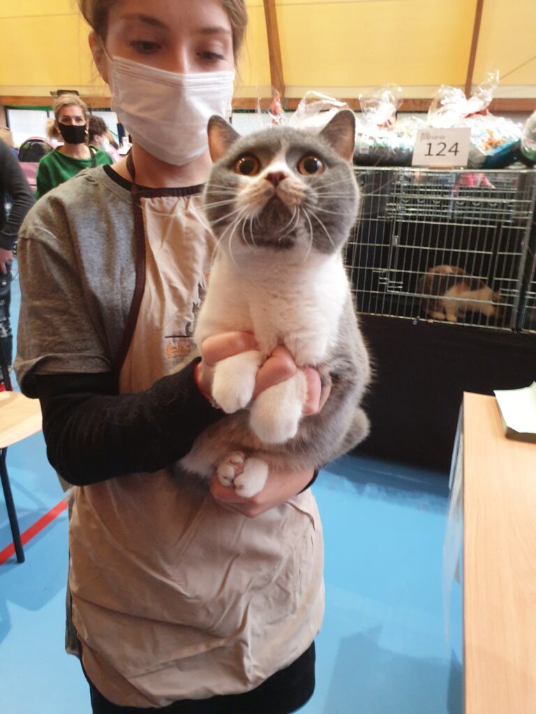 MIĘDZYNARODOWA WYSTAWA 13-14.11.2021, POZNAŃ.